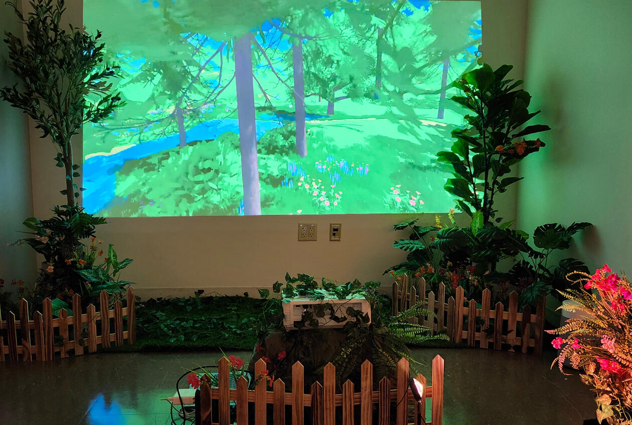 Front-on view of garden/projector setup.