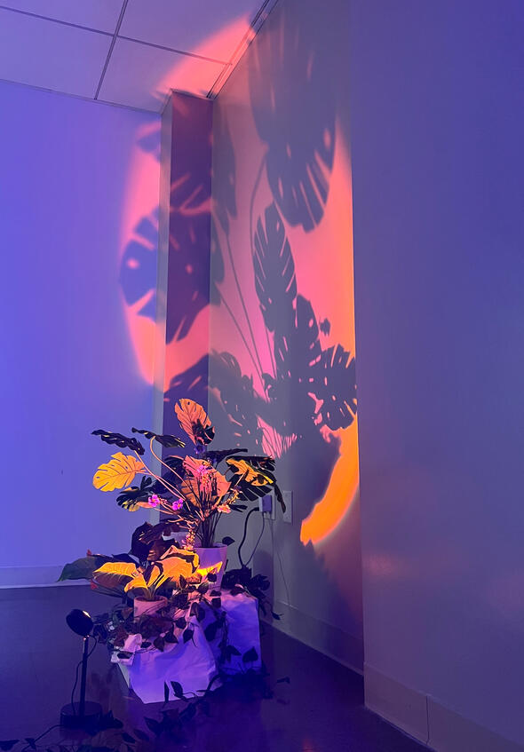 Full view of one of the lighted plants.